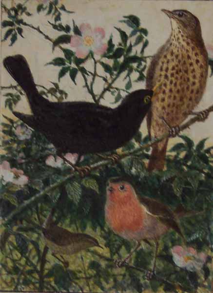Birds and Wild Roses